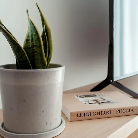 Paramar Casa 孔韦尔萨诺